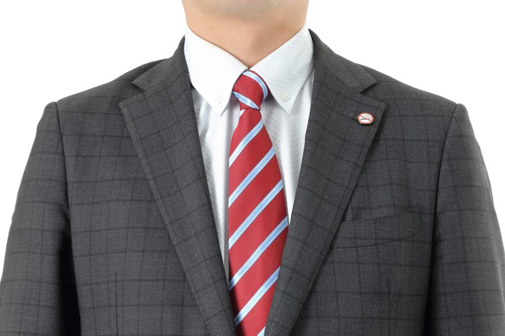 Don Flyee Rökning Förbjuden Märke Nål, Enkel Design, Fjärilsfäste, Legering, Accessoar, Gåva för Rökavvänjningskampanjer och Medvetenhet, C0055