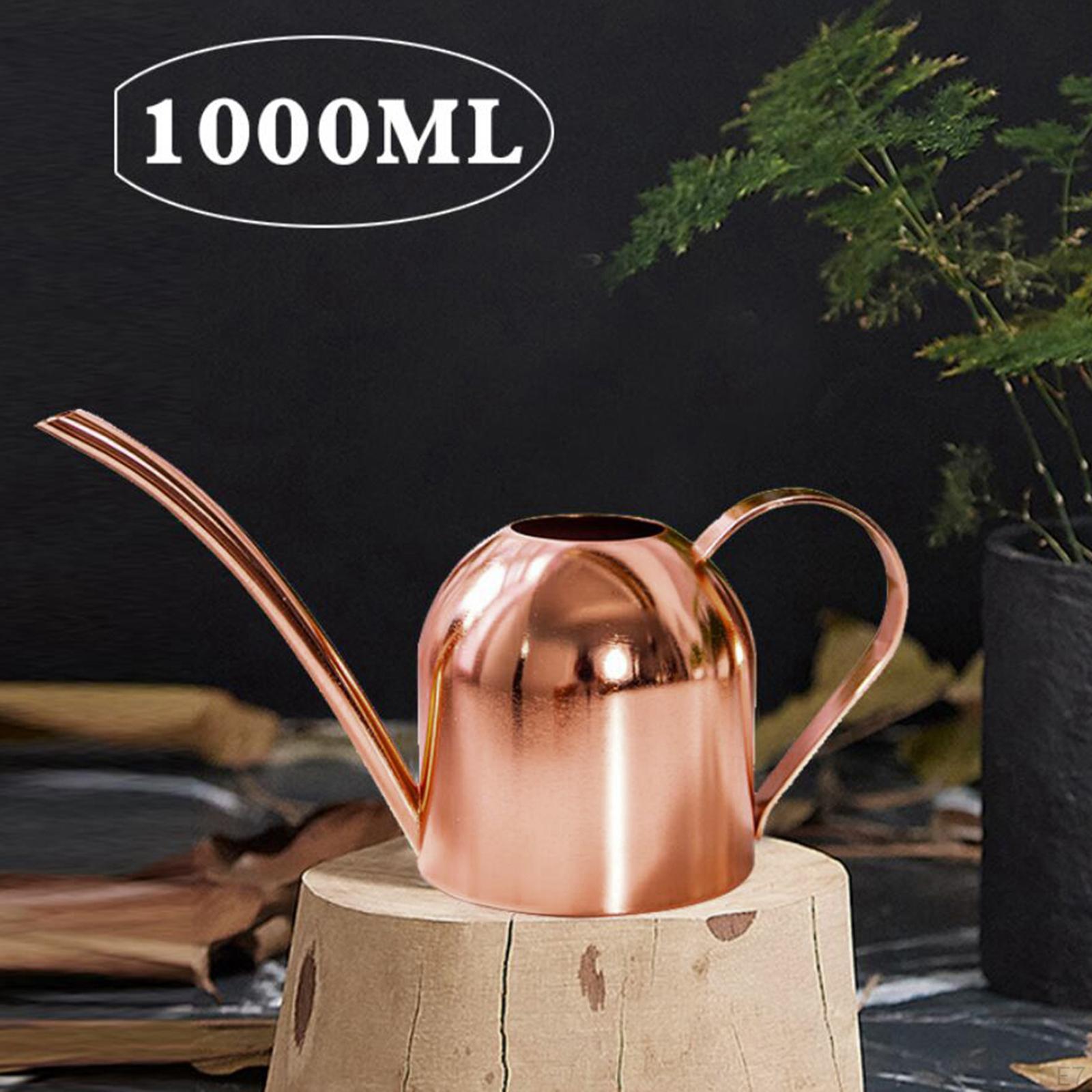 1000 мл лейка из нержавеющей стали комнатные растения длинный рот цветок бонсай — фото 8