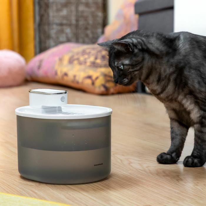 Fontaine Pour Chats - InnovaGoods - Rechargeable - 3 L - Silencieuse - Détecteur De Mouvement