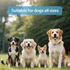Clip-On Pet Safety Lights Glowing Nighttime Walking Light USB Charging Pet Pendant  for Dogs Cats