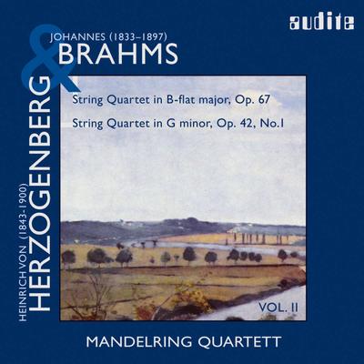 CD MANDELRING QUARTETT - Brahms/Herzonberg: Quartette AUDITE97504 Audite 2007 Japan Klassisch Gebraucht