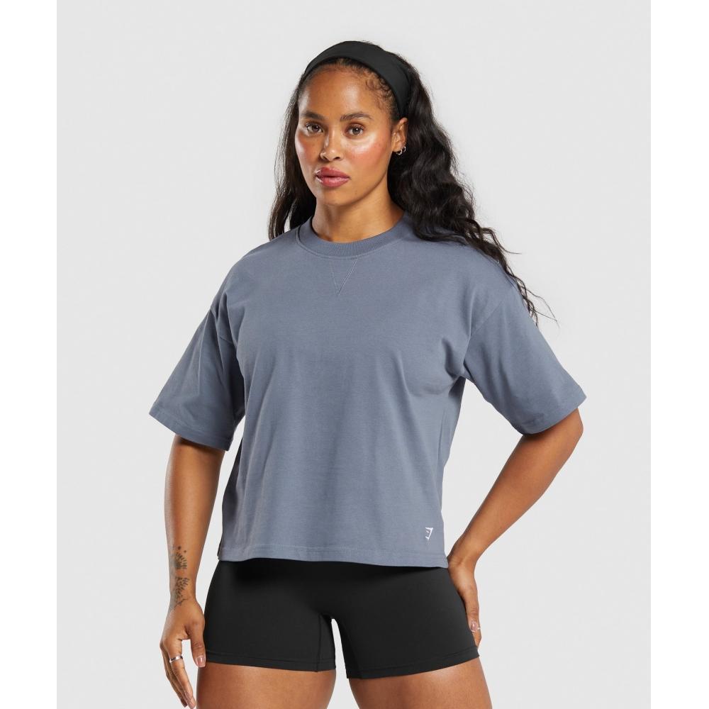 

Gymshark Футболка из плотного хлопка цвета Iron Blue B7A1T UCTM XS