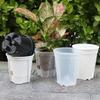 Water Storage Flowerpot Transparent Bonsai Basin Plant Pot Butterfly Orchid Breathable Hydroponic Pot Self Absorbing Lazy Basin