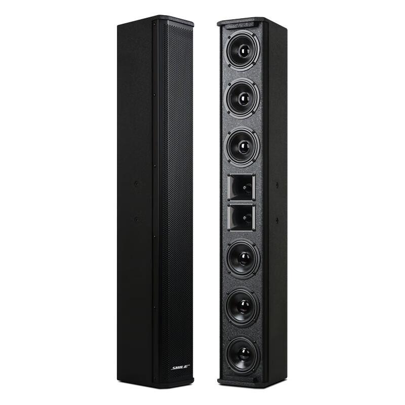 SHILE Professional Conference Audio System