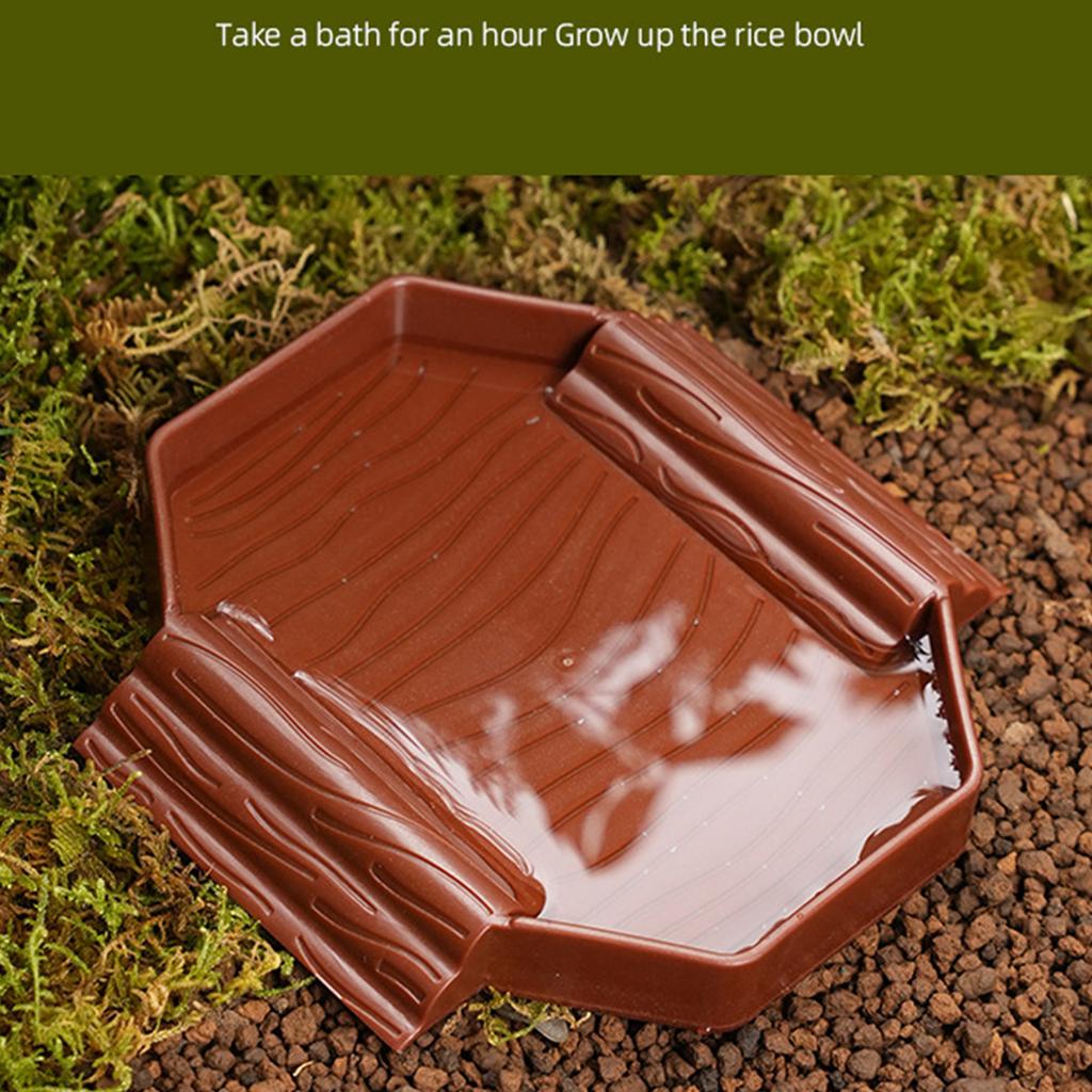 Small Plastic Turtles Bathing Pool Multifunctional Design Water Basin For Baby Reptiles Easy Cleaning And Portable Use