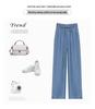 Women's Tencel Jeans - Summer 2026, Lightweight High Waist, Plus Size Ice Silk Wide Leg Pants