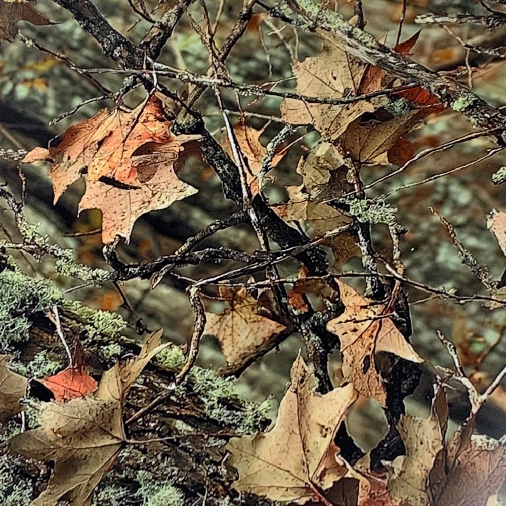 

Big Sticker Car Foil Self-adhesive Exterior Car Stickers Waterproof Leaf Camouflage Print Film Wrapping Automotive Vinyl Wrap 10cmx150cm