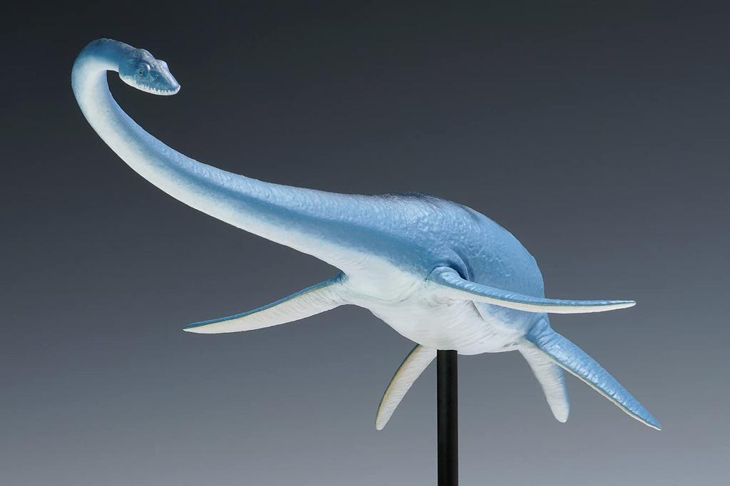 Wave Futabasaurus Ryu Total length 23cm Plastic model Molded color 1/35 approx. OG-031