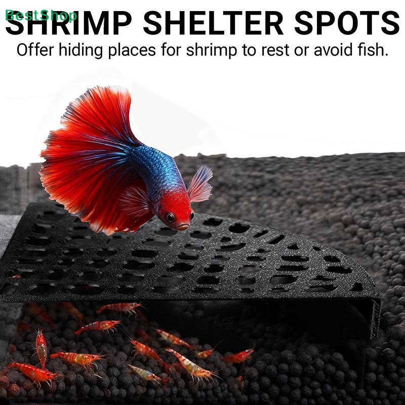 Shrimp Cav Platzsparende fächerförmige Aquariumhöhlendekoration mit 180°-Weitblick-Design