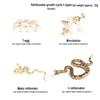 Children's Cognitive Toys: Frog Tadpole Growth Cycle Models