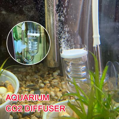 Fisk og sjødyr – Akvariumpleie