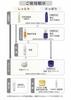 Hashikata Cosmetics Beauty Cream 30g x 6
