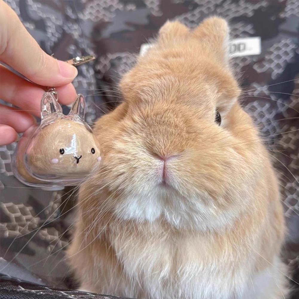 Clear Rabbit Hair Storage Keychain Puppy Hair Storage Capsule Pet's Fur Container Box Dog Cat Hanging Pendant Souvenirs
