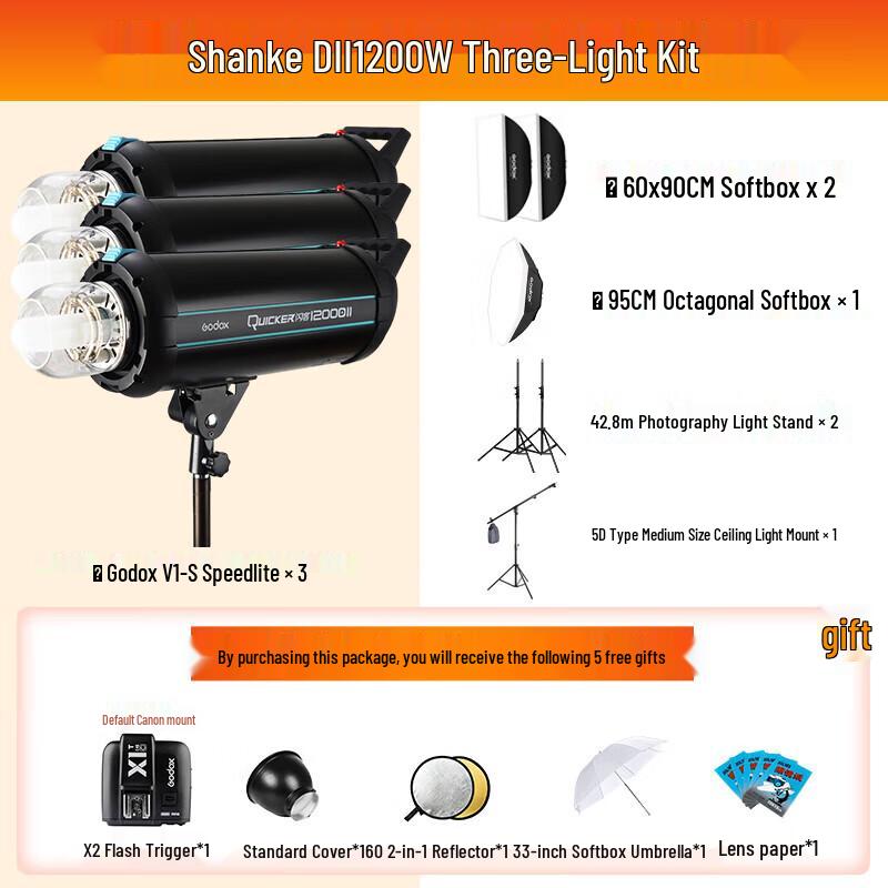 Godox DII Series Studio Flash Kit