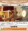 ZHOUMIN LED Sensor Automatic 2 Colors Motion Sensor Indirect Stepless for Indoor Use Pack Japanese Instructions Light, Activation, Type-C