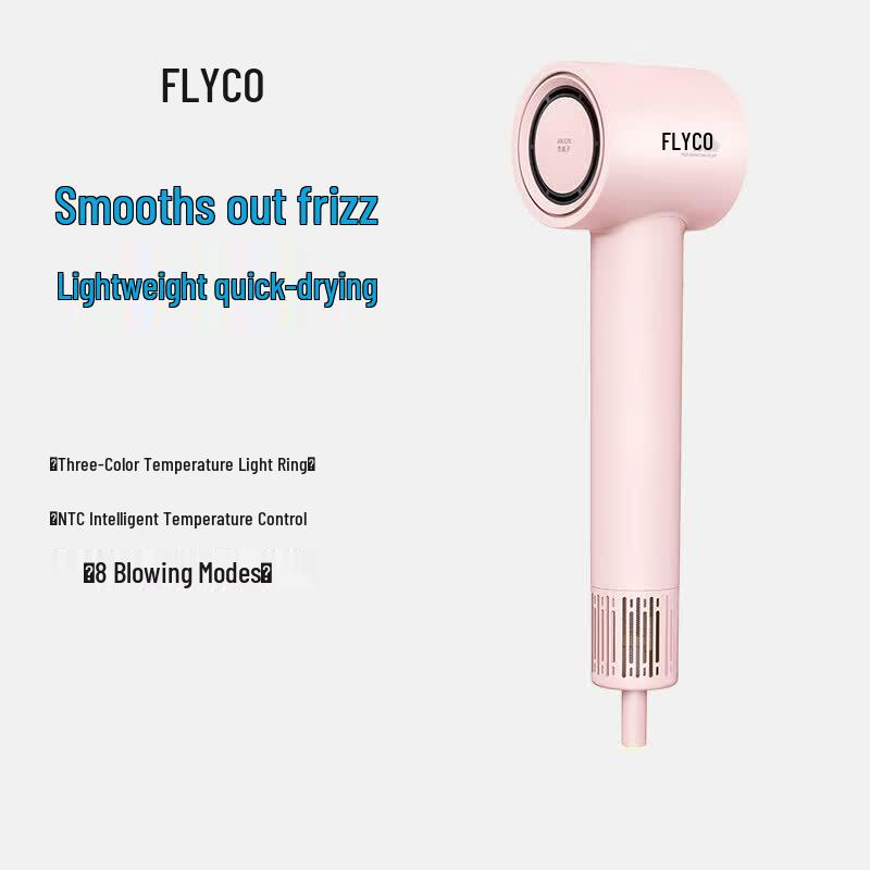 Flyco High-Speed Negative Ion Hair Dryer CN plug (adapter included)