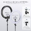 Neewer 18-inch 58W High-Output 5600K Dimmable High Color Rendering CRI95 LED Video Light Set with Light Stand and Smartphone Holder Compatible with Sm