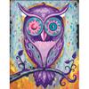 Ravensburger CreArt Dreaming Owl 28990 5 (Coloring Book Paint by Numbers Oil Painting Art Painting)
