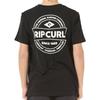 Rip Curl CAMISETAS Y POLOS NIÑO M_STAPLE TEE -GARÇON enfant NEGRO
