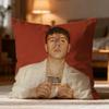 Hot QQuevedoed Cushion Cover Soft Washable Pillow Case Multi-Scene for Couch Bed Travel Office Use