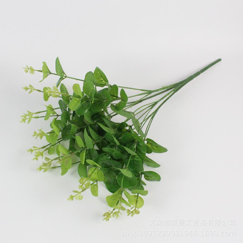 

Eucalyptus Simulated Robusta Smith Used For Landscape And Wedding Floral Design Green Film