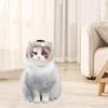 Breathable Cat Bubble Muzzle Anti-Bite Cat Head Cover Protective Pet Space Hood  Grooming