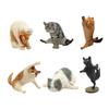 ANIMAL LIFE Yoga Cat 1BOX (8 Pieces)