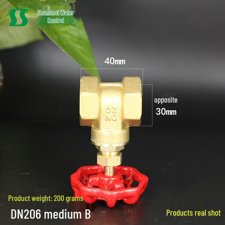 Brass Gate Valve for Water Meters with Thickened Silk Thread and PPR2 Double Hot Melt (4-6 Points)