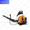 Shunruitong Professional Backpack Gas-Powered Forestry Fire Blower