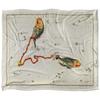 Graffitee Studios Vintage Pisces Supersoft Blanket