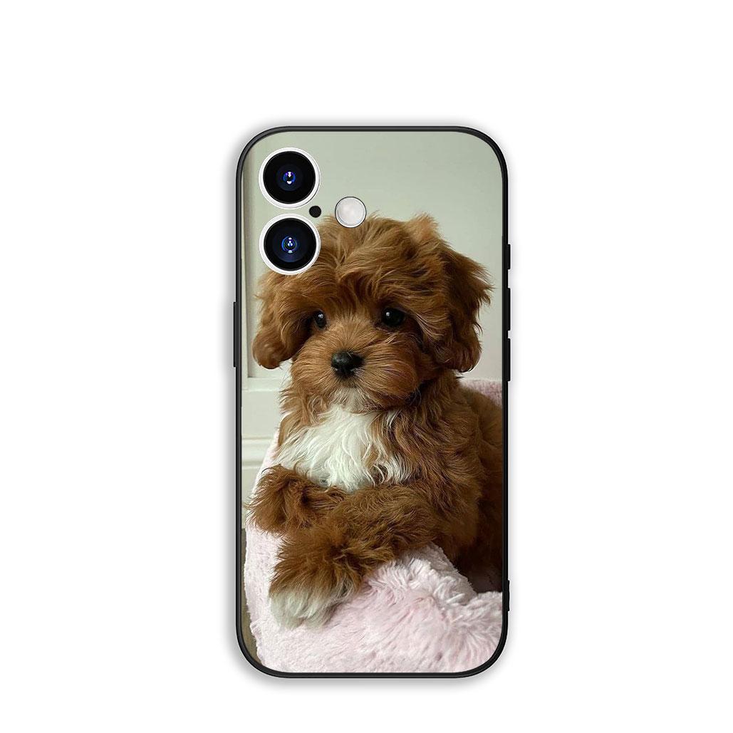 

Funda Coque Cover for Samsung Galaxy A55 A56 A25 A36 A54 S8 S9 S21 S20 FE A53 A13 A12 A14 A33 A70 A71 A51 A21S Case Poodle Dog Samsung S8 Plus