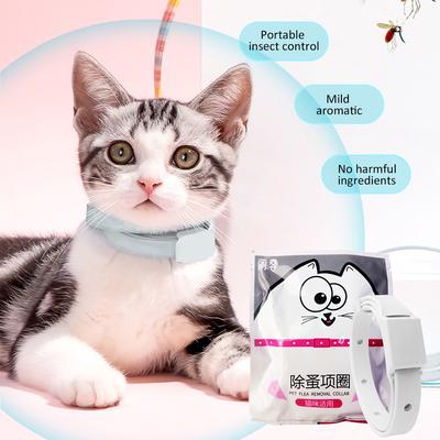 Collare antipulci per animali domestici Collare antizanzare per gatti Collare per insetti Collare antipulci per cani in vitro per sverminazione