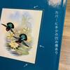 [USED] CLASSIC NATURAL HISTORY PRINTS BIRDS