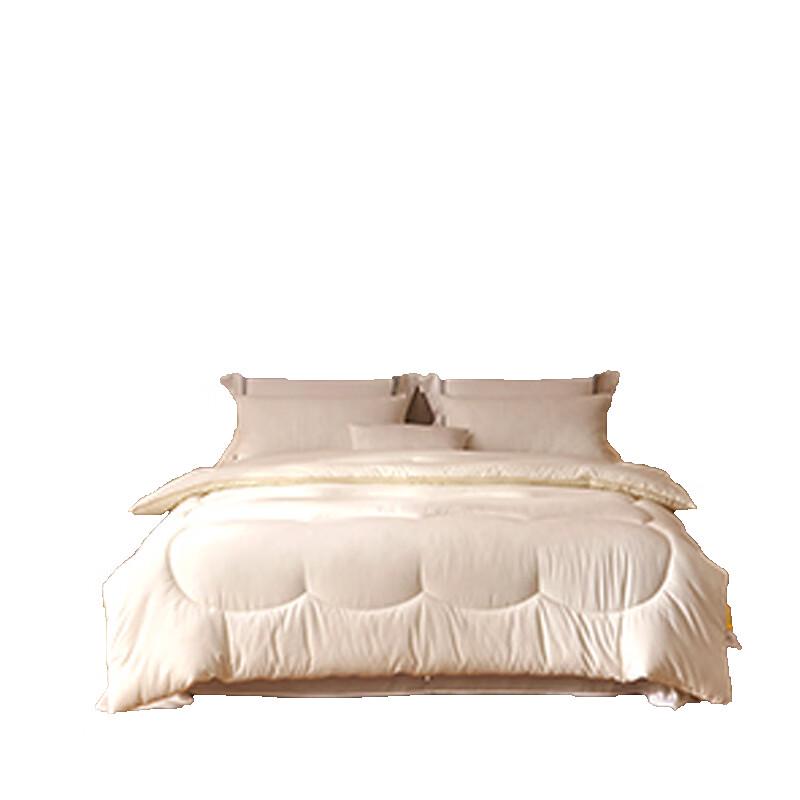 

Kaisipo JF-D007 Soft Soybean Winter Quilt 200cm x 230cm