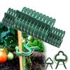 Fastener Stakes Connector Vine Support Plant Fixed Clamp Garden Tool Farm Supplies Support Clips