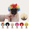 Pet Wig for Small Dogs and Cats Halloween Costume Accessory