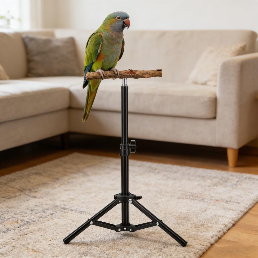 Alloy Bird Training Perch Adjustable Height Outdoor Bird Stand  Indoor Play Area