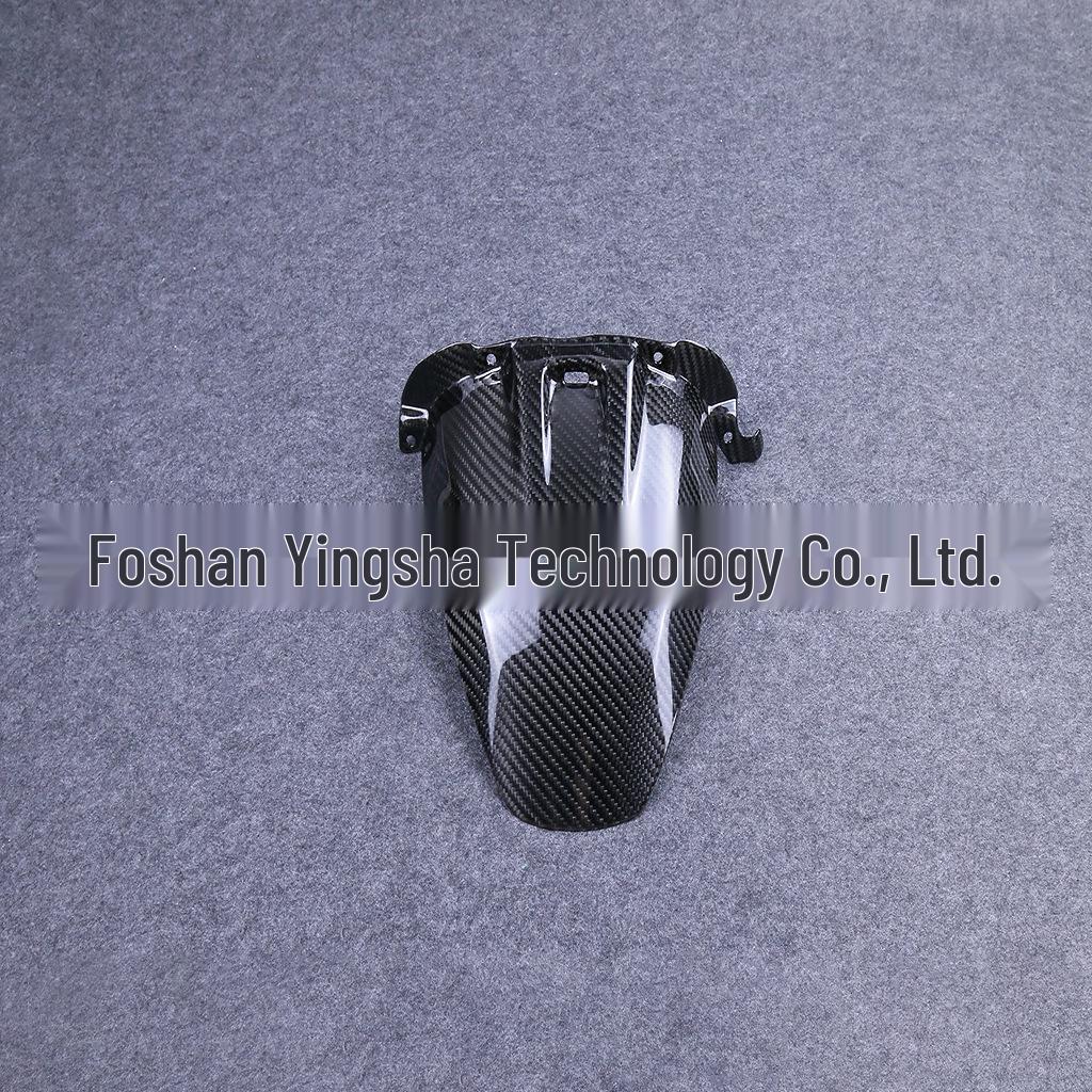 BMW S1000XR 2015-2019 Carbon Fiber Rear Fender Mudguard