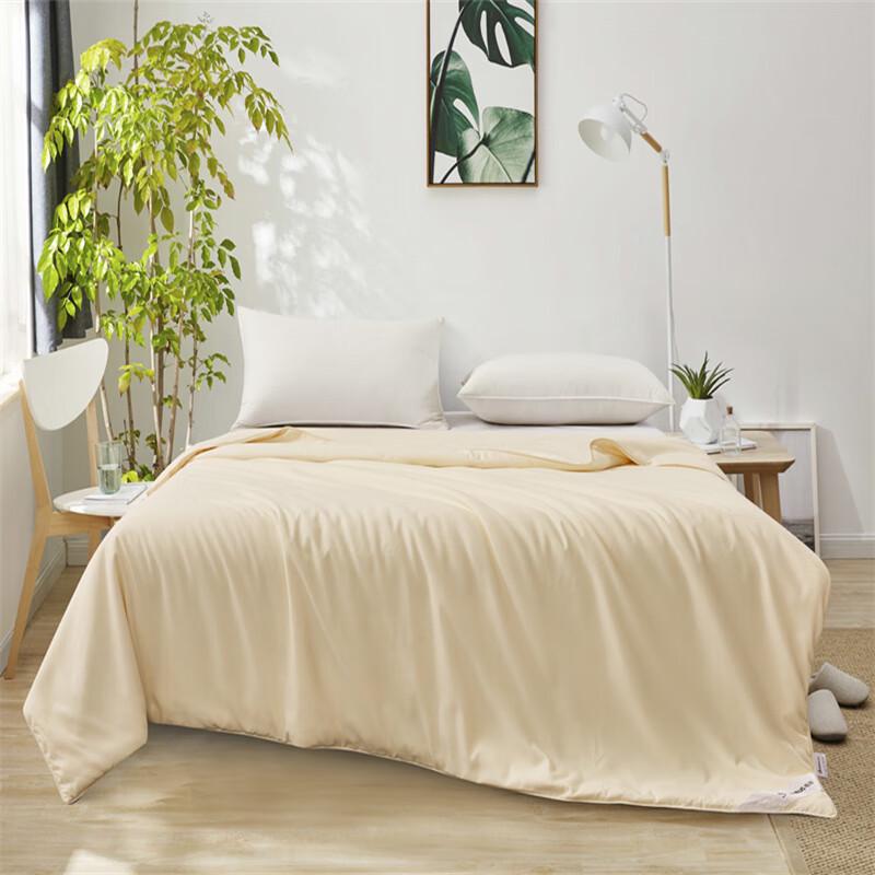 

Yilian Warm Silk Blend Summer Quilt