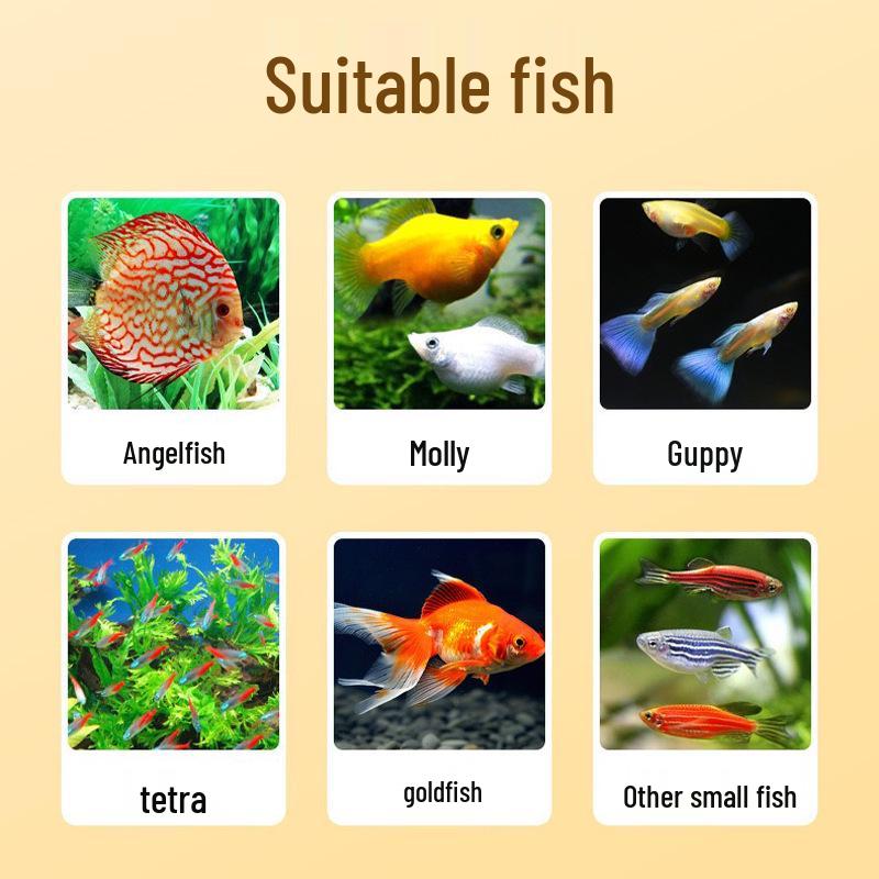 Tropical Fish Flockenfutter für Guppy, Neonsalmler, Betta & Skalar