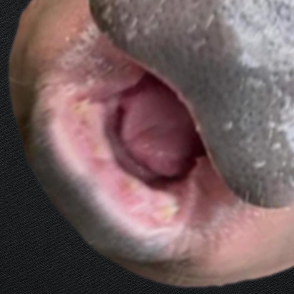 Funny Moo Deng Bouncy Pig The Cute Baby Hippo Face Cotton T-shirts Men Fashion Casual Tshirt Loose Oversized Streetwear T Shirt