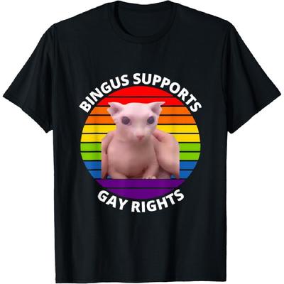 Bingus Supports Gay Rights Hairless Sphinx Bingus Cat Meme T-Shirt for Men Women