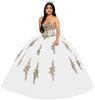 Gold Lace Applique Adult Dress Fluffy Strapless Tube Top Tulle Ball Dress Glitter Princess Dress Dress