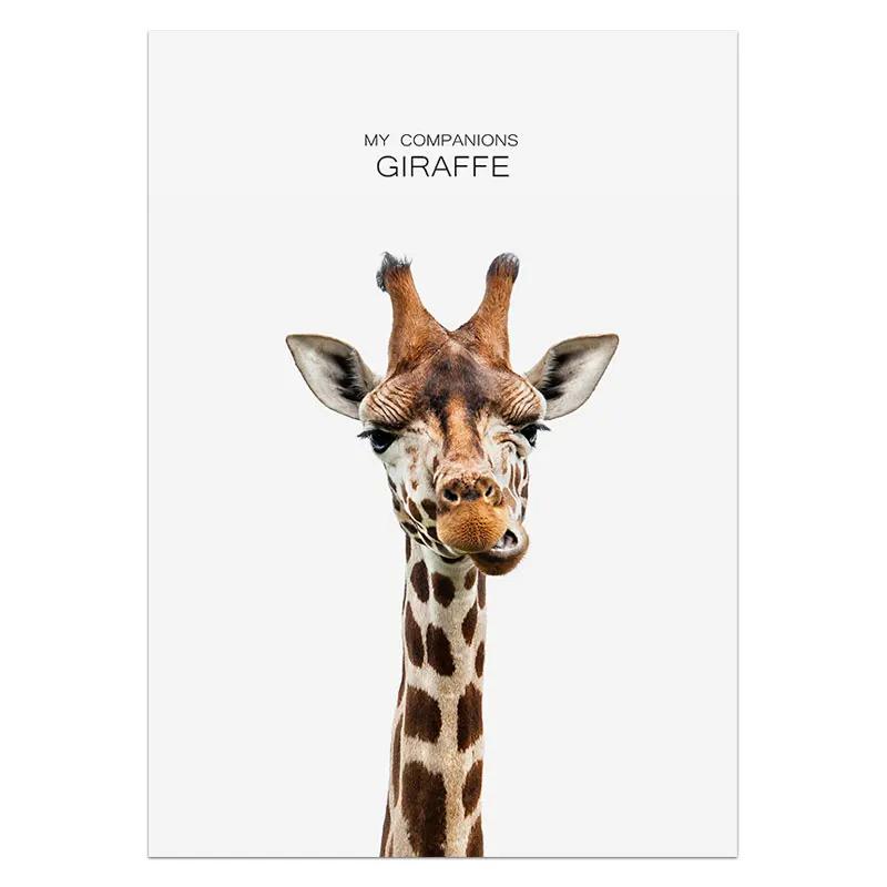 Postere și imprimeuri cu animale Iepure Girafă Porc Panda Leu Pictură pe pânză Artă de perete pentru pepinieră Imagine nordică Decorare cameră pentru copii