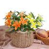 Simulation Flower Realistic Looking Fade-Resistant Faux Silk Cloth Centerpiece Dining Table Fake