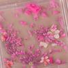 1Box Nail Art Flower Decoration Delicate 3D Dried Flower Nail Charms Art Stickers Nail Art Beauty For Charms Accessories