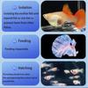 Transparent Aquarium Breeder Feeder Suspension Fish Tank Hatching Box  Juvenile Fish