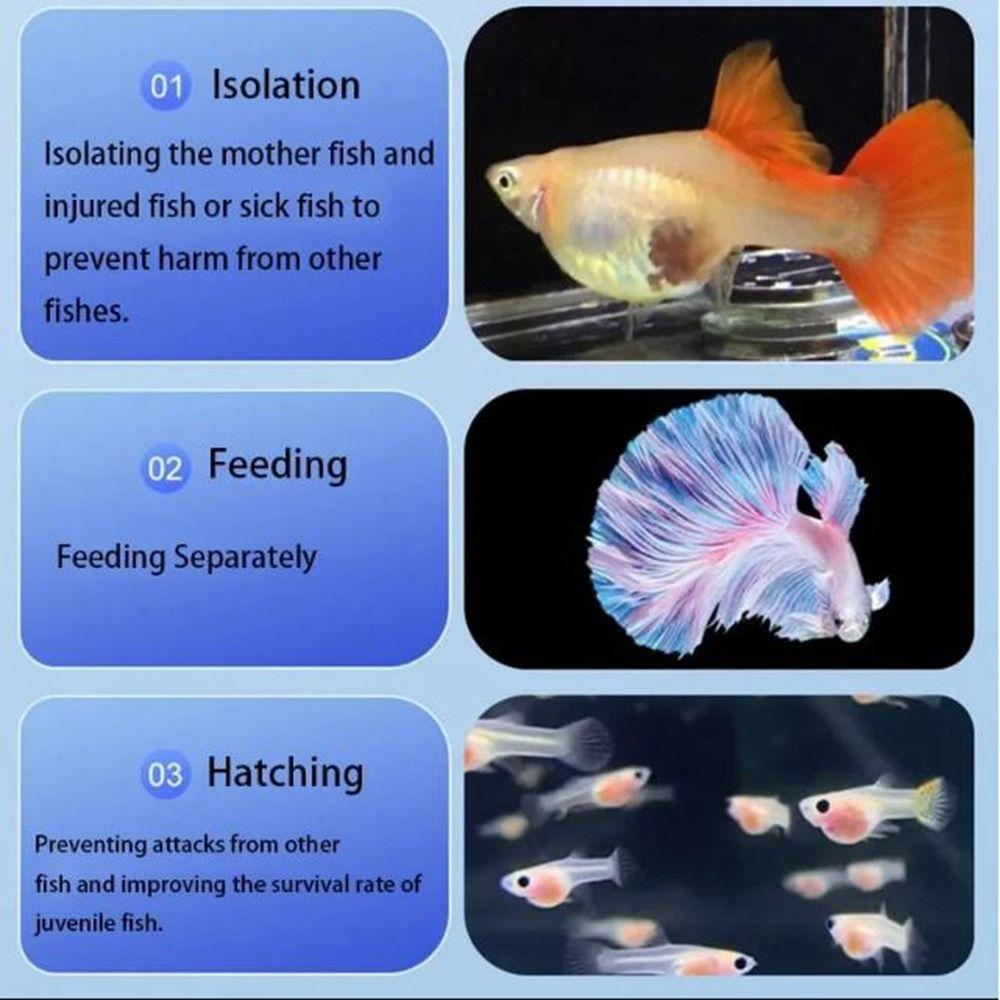 Transparent Aquarium Breeder Feeder Suspension Fish Tank Hatching Box  Juvenile Fish