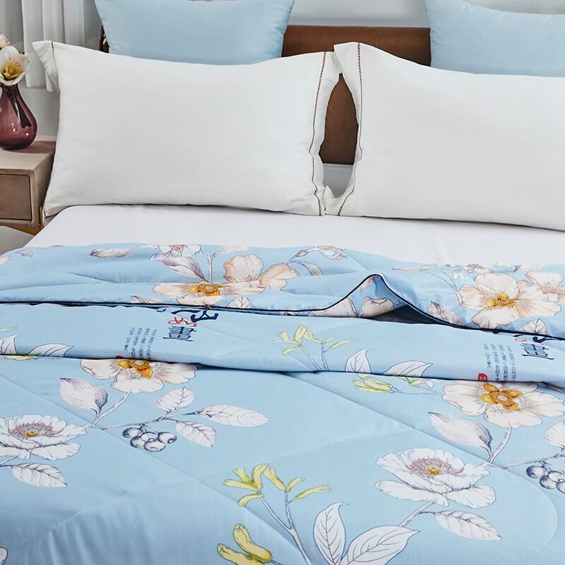 Softnie Cationic Antibacterial Summer Fiber Quilt
