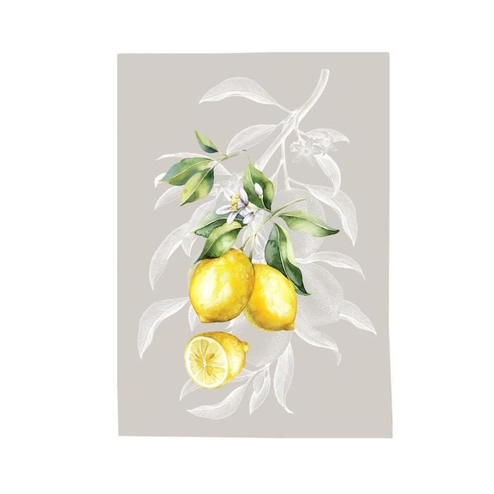 Torchons - Lot de 3 - 100% coton - 50x70cm - Lavable à 40°